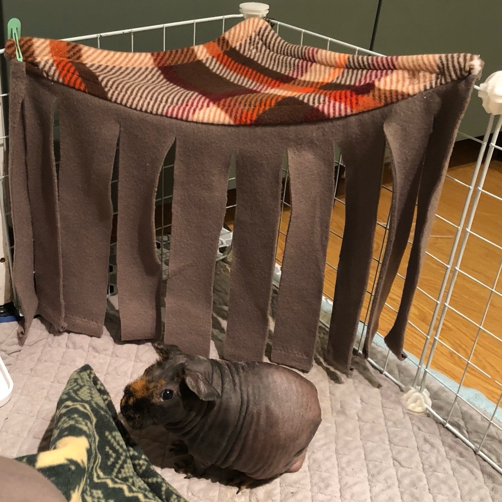 fleece forest for guinea pigs, rabbits, rats
